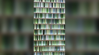 Acrylic Art Ceiling & Wall System – Immersive Visual Solution for High-End Public Spaces